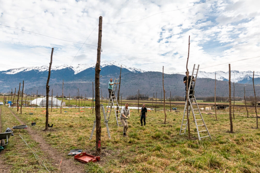 Image for Mise en place d’un système d’irrigation à Grésy-sur-Isère (73)