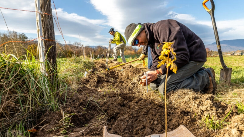 Image for Chantier : Plantation d’une haie