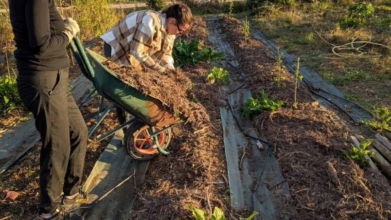 Image for Chantier : Plantations & entretien de cultures