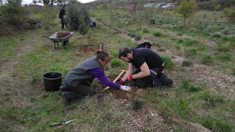 Image for Chantier : Taille et plantations