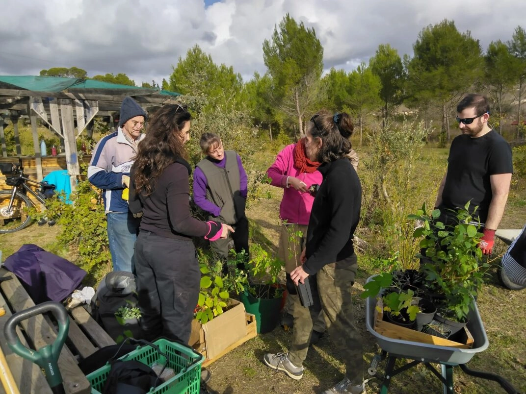 Image for Chantier : Plantation d’arbres
