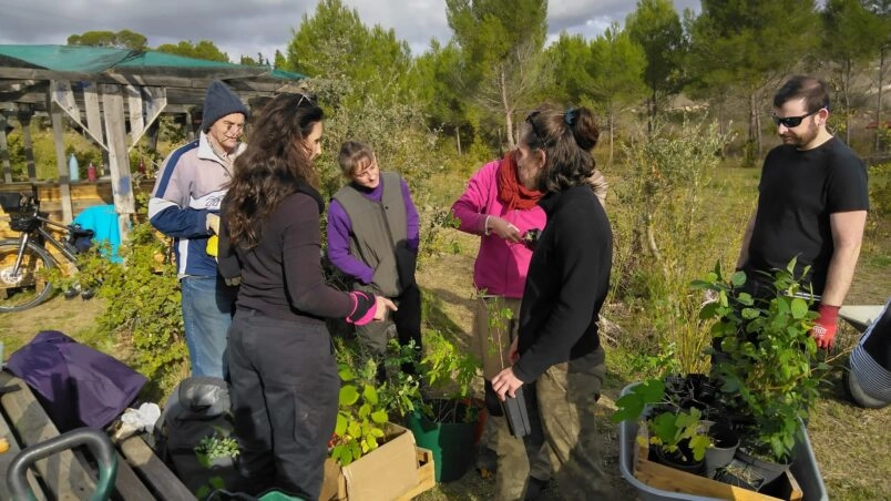 Image for Chantier : Plantation d’arbres