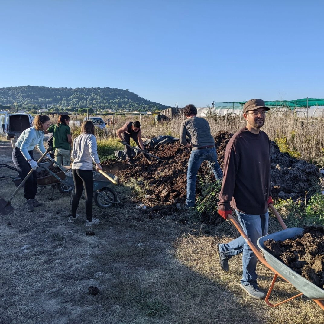 Image for Chantier : Mise en place des planches de culture avec du compost