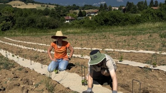 🍇 Chantier participatif au domaine de Bon Repos