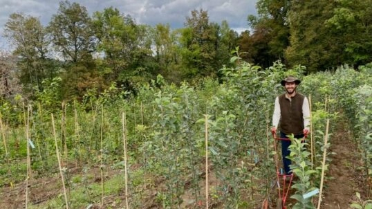 🍏 Plantation d’un verger conservatoire à Saint-Béron